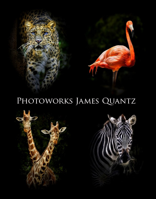 Photoworks James Quantz