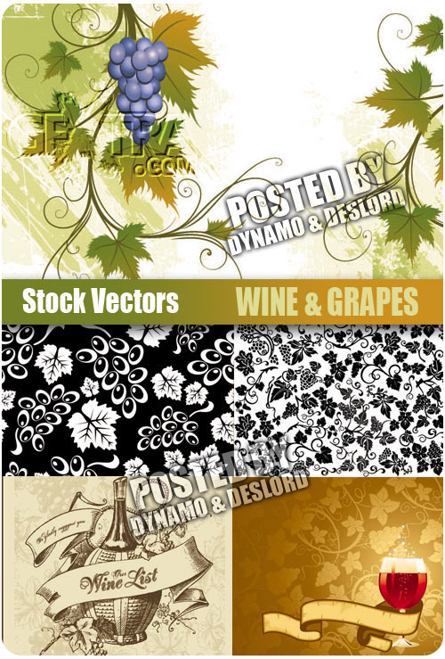 Wine & Grapes - Stock Vectors