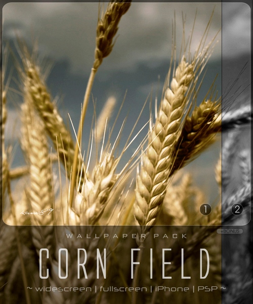 Corn Field Wallpaper Pack