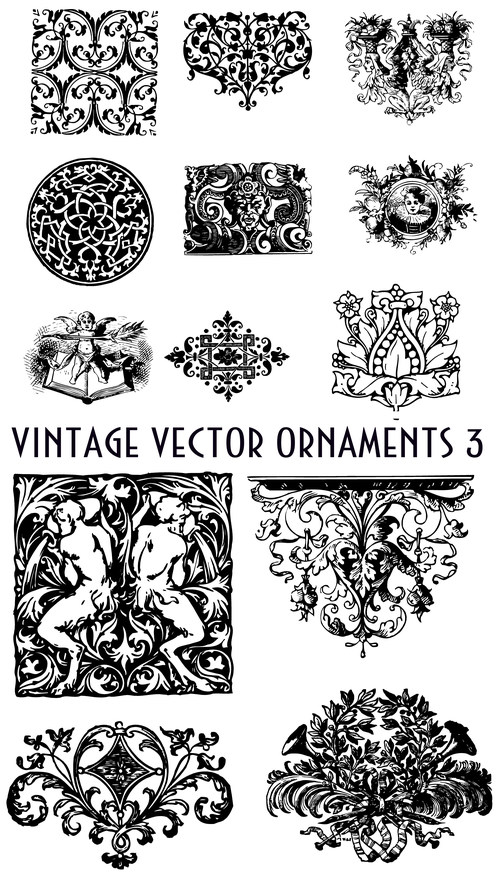 Vintage vector ornaments 3