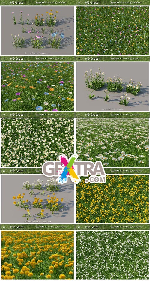 Mentor Plants HQ Grass for c4D VRay