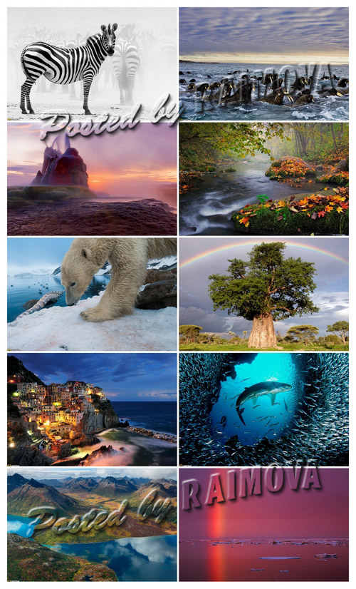 National Geographic Wallpaper Pack 1