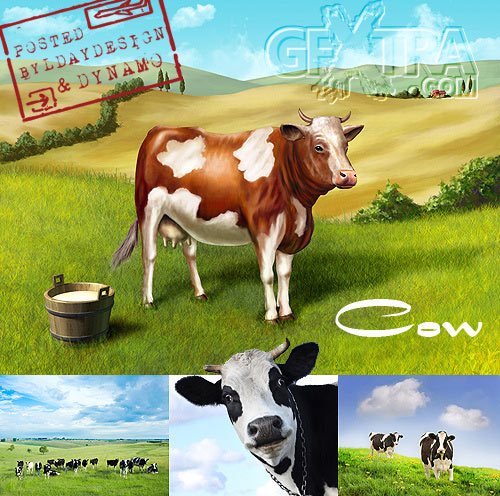 Cows and milk bucket in a rural landscape - Stock Photo