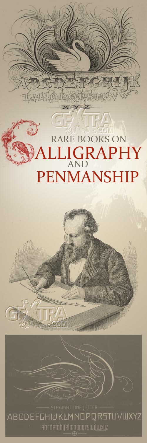 Rare Books on Calligraphy & Permanship in History, 42 Books 1.1 GB
