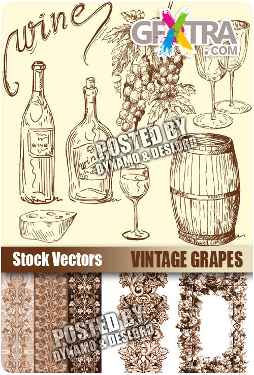 Vintage grapes - Stock Vectors