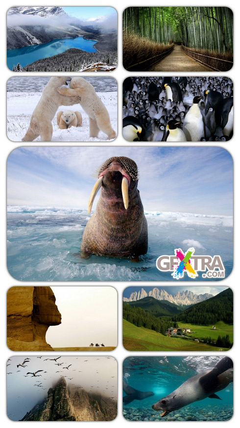 National Geographic Wallpaper Pack 2