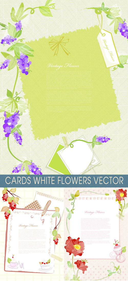 Cards with flowers vector