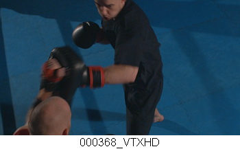 Hand to Hand Combat, 34 HD Footages