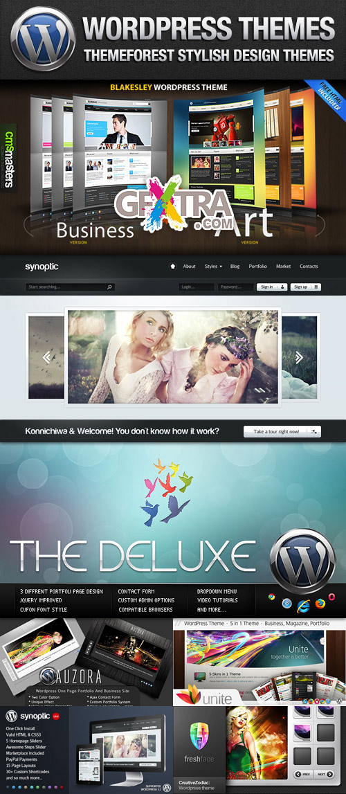 ThemeForest Stylish Design WordPress Themes