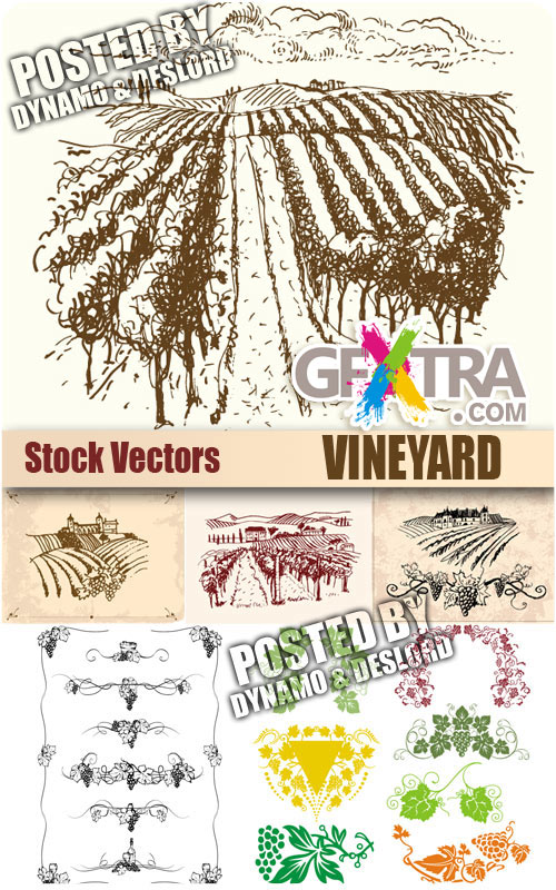 Vineyard - Stock Vectors