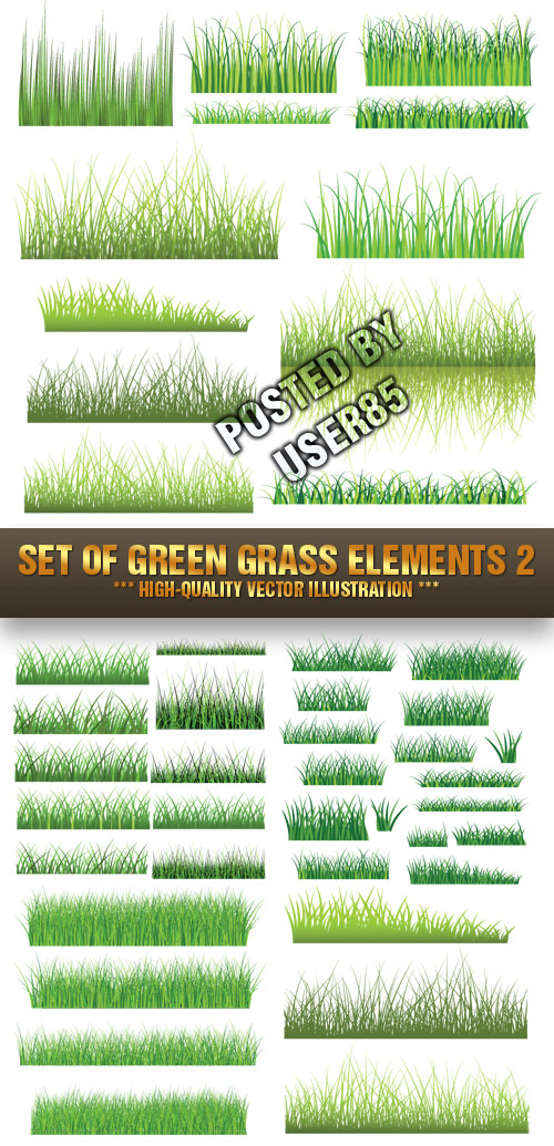 Stock Vector - Set Of Green Grass Elements 2