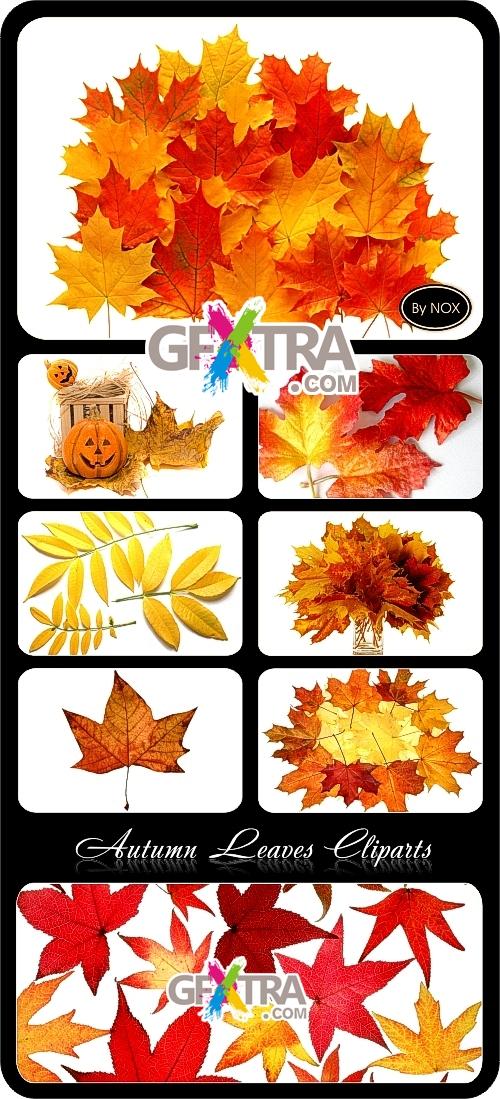 Autumn Leaves Cliparts 8xJPGs