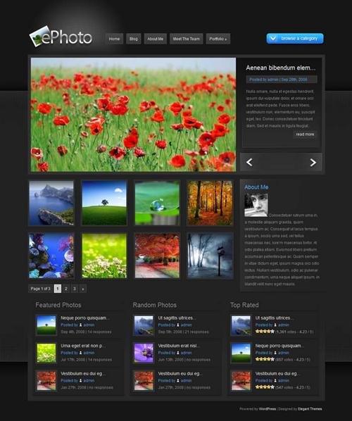 ePhoto v5.2 Elegant Themes for Wordpress Photo Site - WPelegantThemes