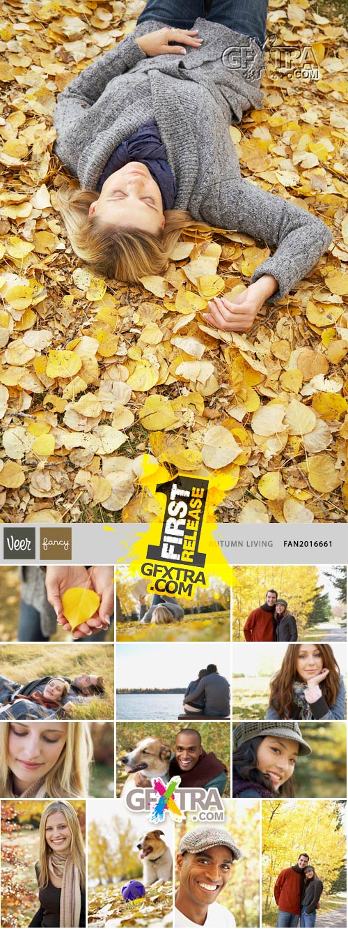 Veer Fancy FAN2016661 Autumn Living