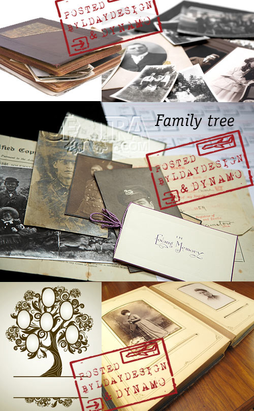 Family tree & album - Stock Photo