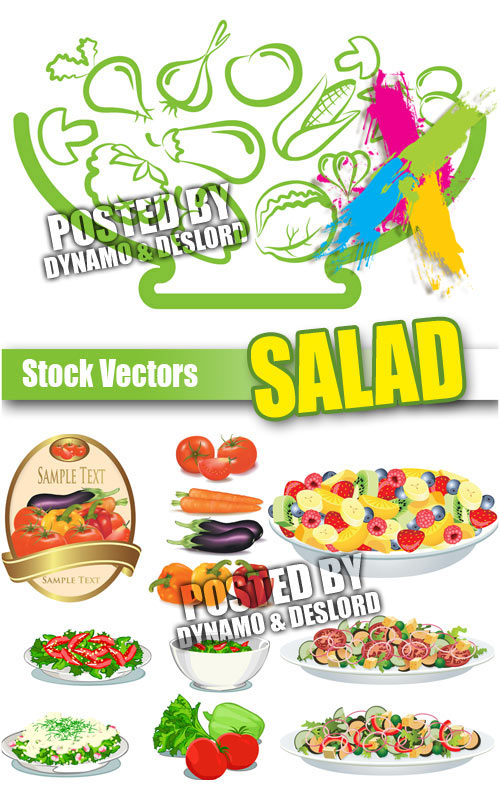 Salad - Stock Vectors
