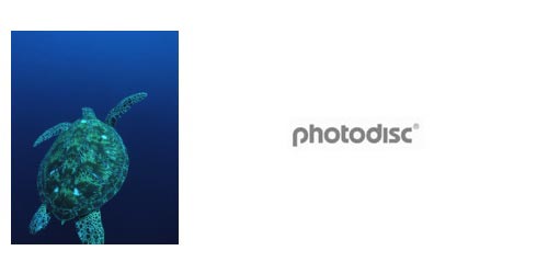 PhotoDisc V183 Under the Sea