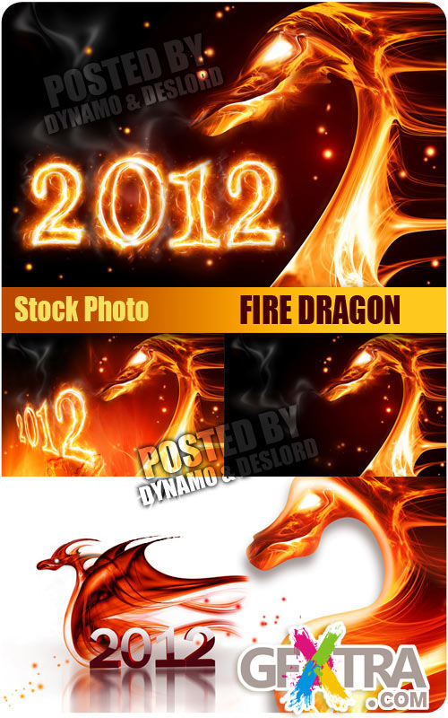Fire Dragon - UHQ Stock Photo