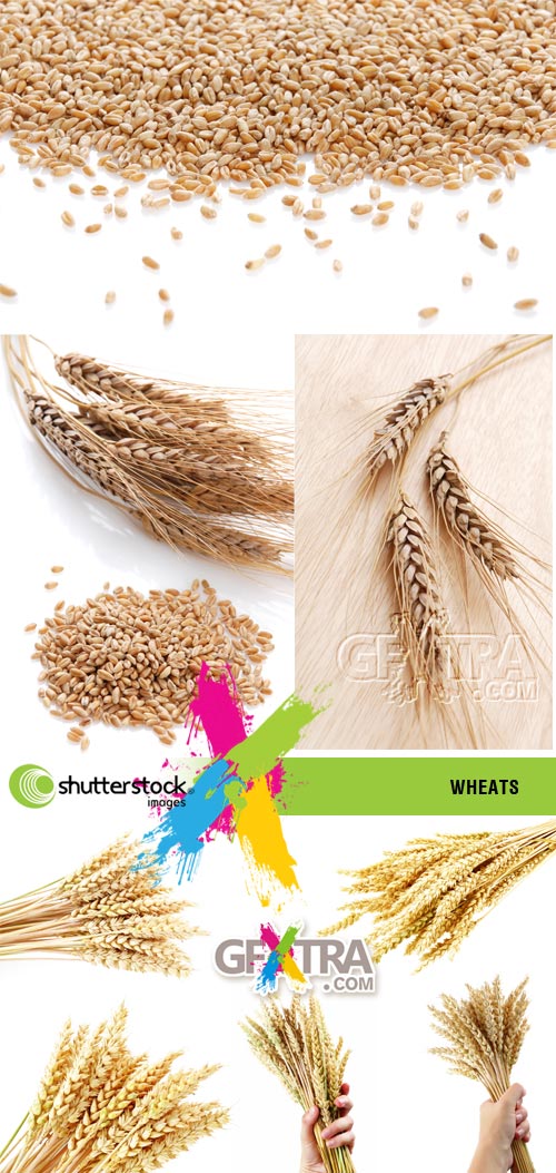Wheats 4xJPGs