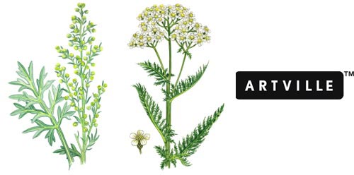 ArtVille Illustrations IL076 Herbs