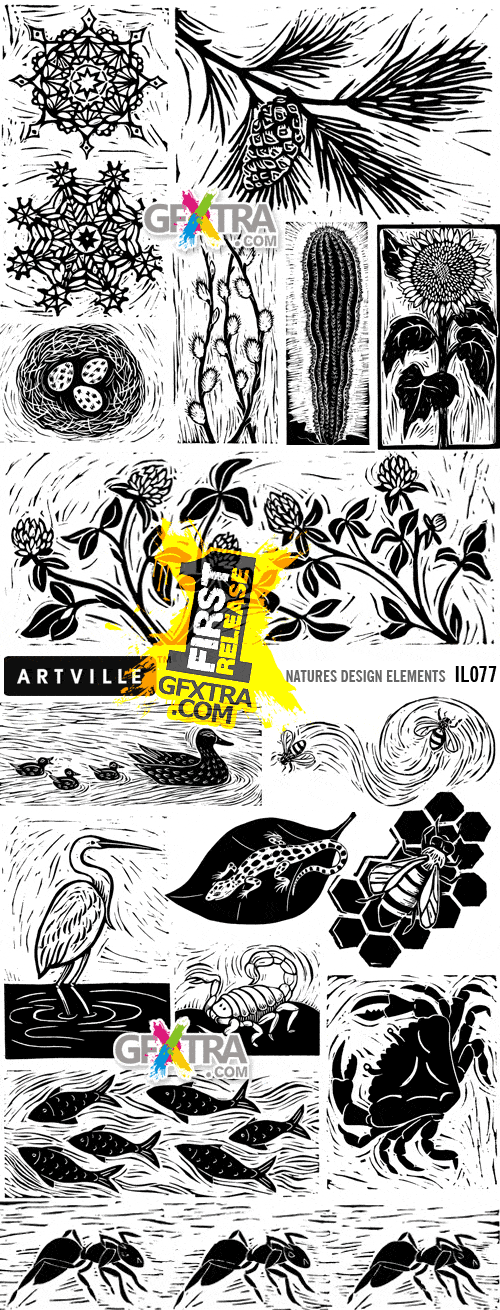 ArtVille Illustrations IL077 Natures Design Elements