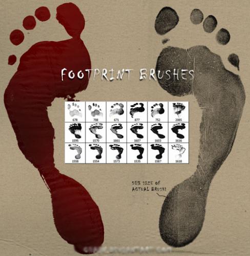Footprint brushes set