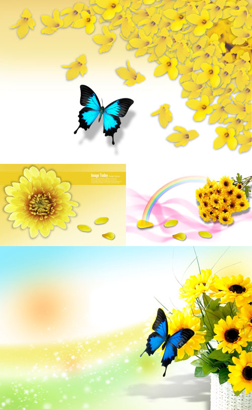 Sources - Beautiful Butterflies and Sunflowers solar