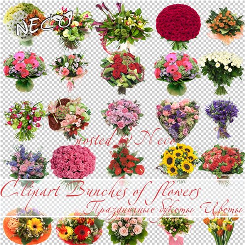 Celebratory bouquets - Flowers, png