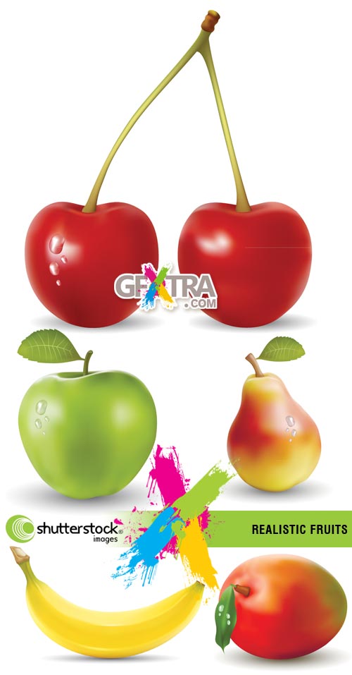 Stock Vector - Realistic Fruits