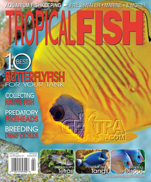 Tropical Fish Hobbyist Magazine February 2012