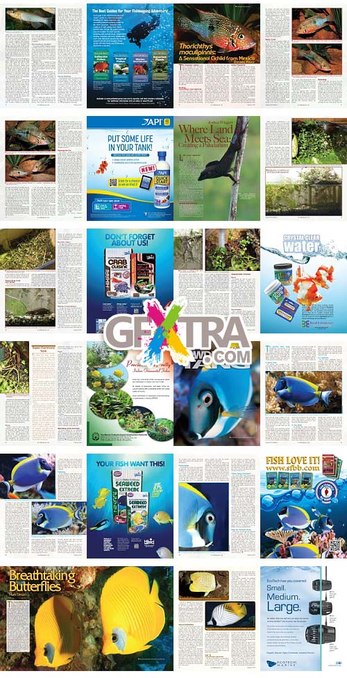 Tropical Fish Hobbyist Magazine February 2012