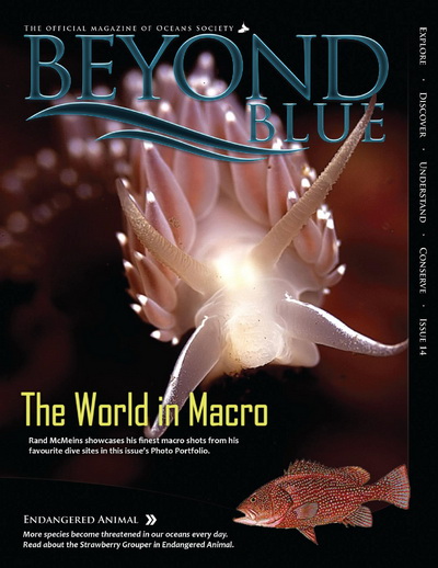 Beyond Blue Issue 14 - January 2012