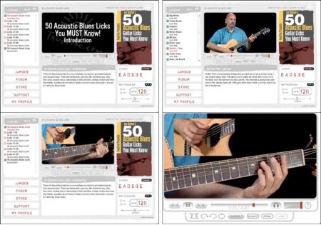 Guitar Lab - 50 Acoustic Blues - Guitar Licks You Must Know DATA-DVD (2011)