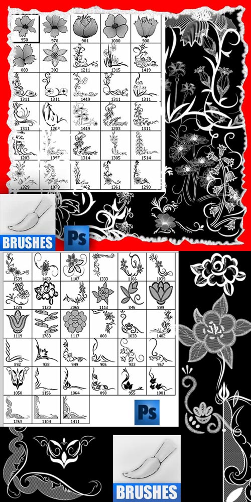 Flowers and corners brushes for photoshop