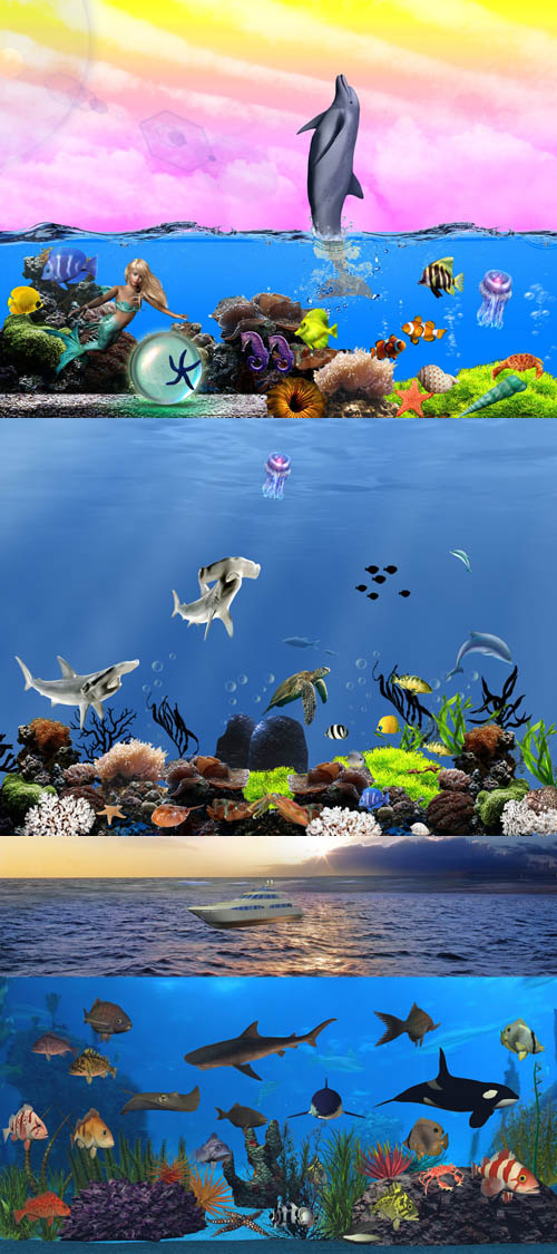 Sources - Beautiful underwater world