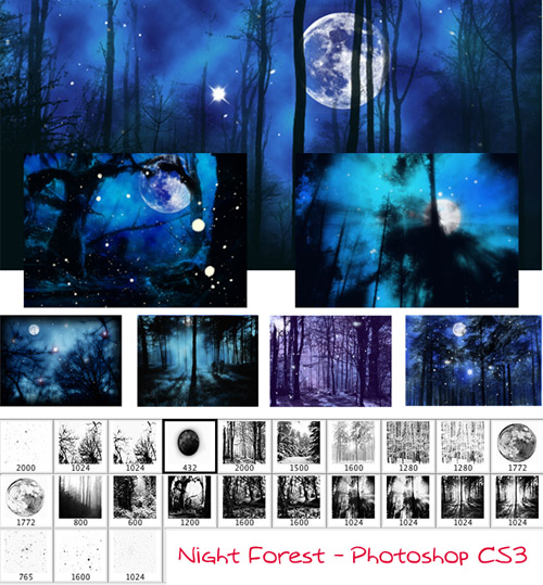 Night forest brushes