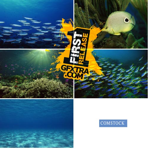 Underwater - Comstock CS286