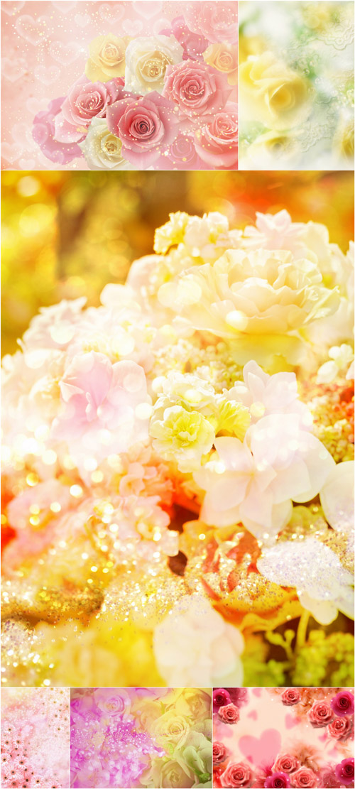 New 2012 Creative Romantic And Floral Colored Backgrounds