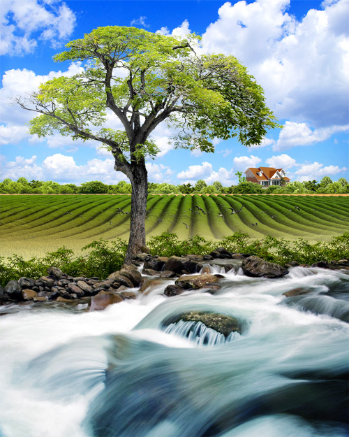 Creative Nature PSD Source - Tree in Plowed Field