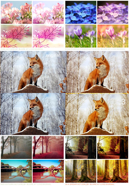 Photoshop Action 2012 pack 316