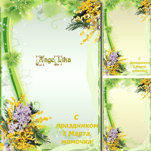 Woman\'s Frame on 8 March - Bouquet of a mimosa