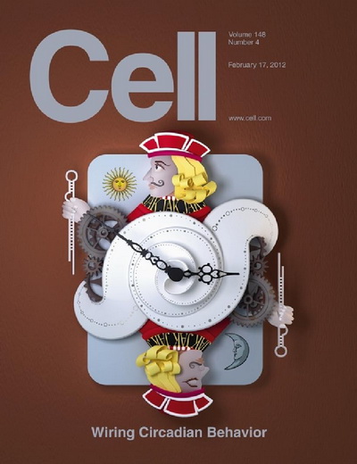 Cell - 17 February 2012