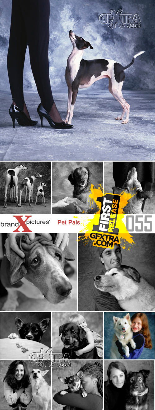 Brand-X X055 Pet Pals