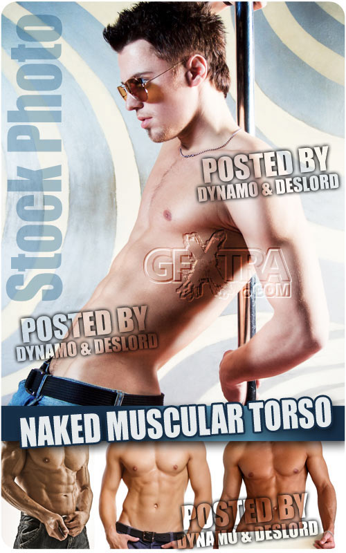 Naked muscular torso - UHQ Stock Photo