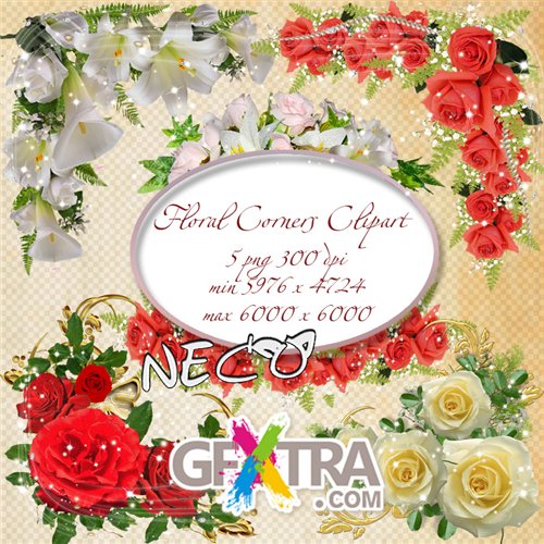 Floral Corners Clipart PNG