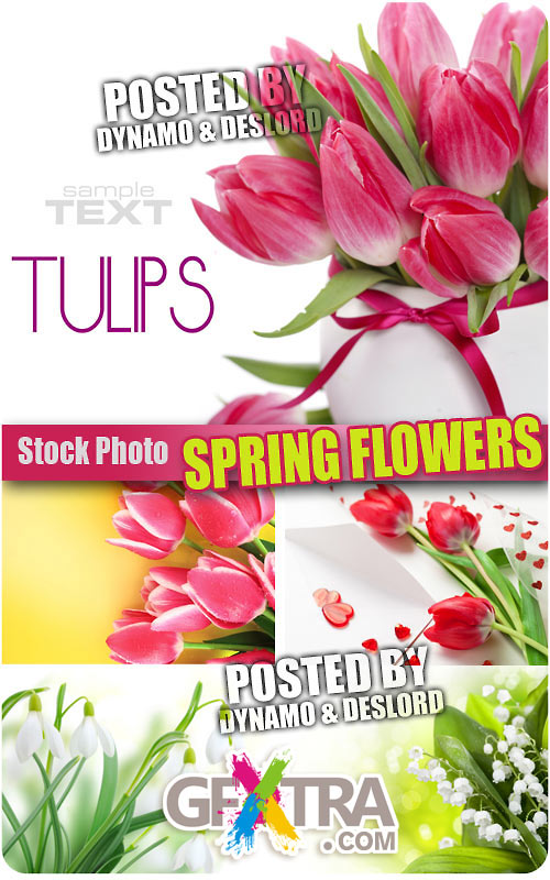 Spring Flowers Part 2 - UHQ Stock Photo