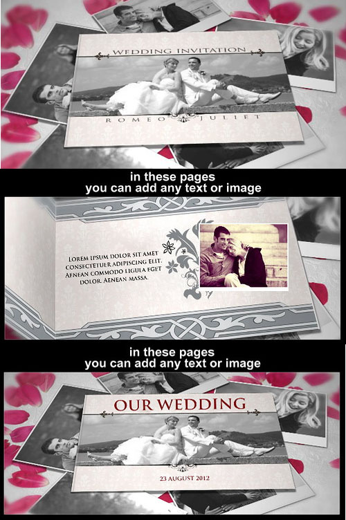 Wedding Invitation - Project for After Effects (VideoHive)