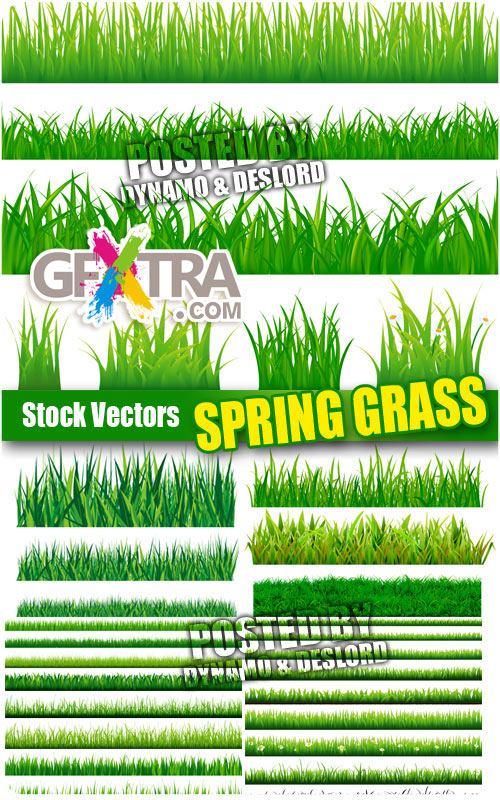 Spring grass - Stock Vectors