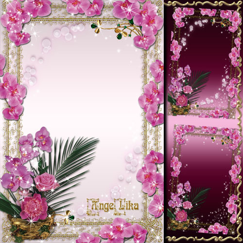 Flower Frame - Gentle Orchids by a Holiday