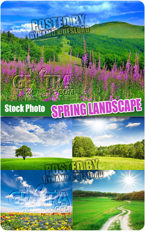Spring landscape - UHQ Stock Photo